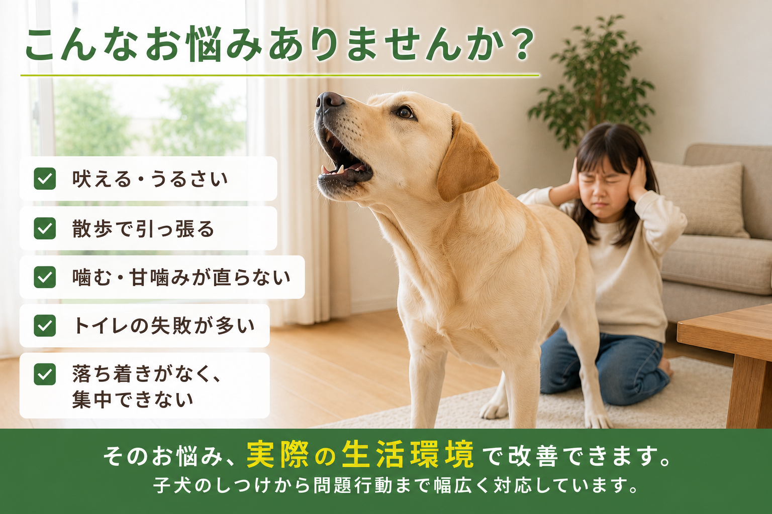 吠える・噛む・トイレ・散歩の引っ張りなど犬のしつけのお悩み